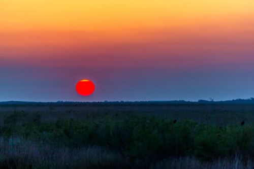 A vibrant sunset with a large red sun setting over a tranquil landscape of grass and distant trees.