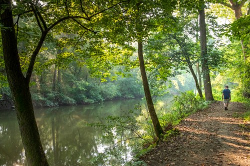 A person walks along a serene, tree-lined path beside a calm river, surrounded by lush greenery.