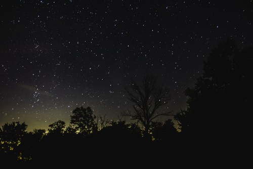 A starry night sky with scattered stars and a silhouette of trees against a faint glow on the horizon.