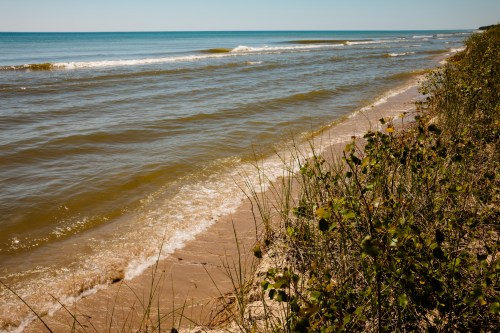 A serene beach scene with gentle waves lapping at the shore, framed by grass and plants under a clear blue sky.