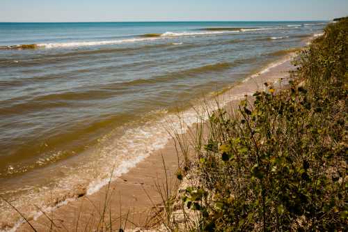 A serene beach scene with gentle waves lapping at the shore, framed by grass and plants under a clear blue sky.