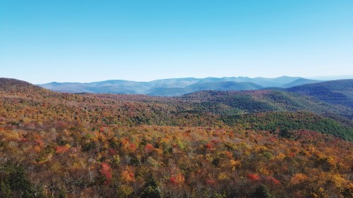 A panoramic view of colorful autumn foliage covering rolling mountains under a clear blue sky.