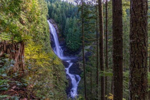 A stunning waterfall cascades down a rocky cliff, surrounded by lush green trees in a serene forest setting.