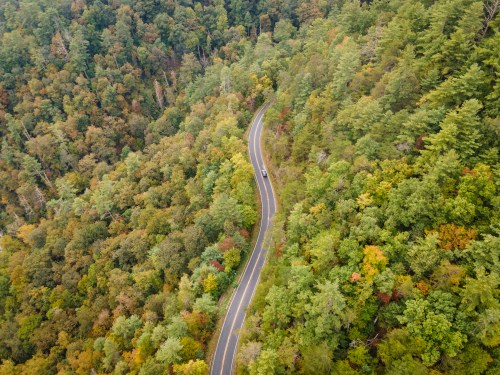 Aerial view of a winding road through a lush, colorful forest in autumn.