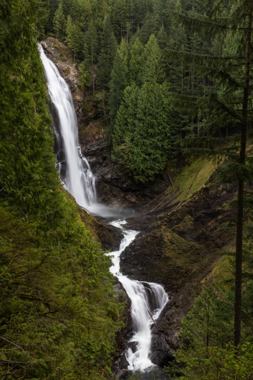 A cascading waterfall flows through a lush green forest, surrounded by tall trees and rocky terrain.