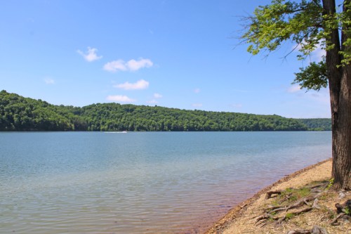 A serene lake surrounded by lush green hills under a clear blue sky, with a sandy shore and a tree on the right.