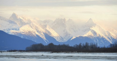 Snow-capped mountains rise majestically in the background, with a serene landscape of trees and frozen ground in the foreground.