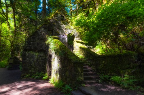 Ruins covered in moss and surrounded by lush greenery, with stone steps leading up in a serene forest setting.