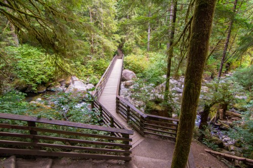 A wooden bridge spans a lush, green forest with a stream below, surrounded by trees and rocky terrain.