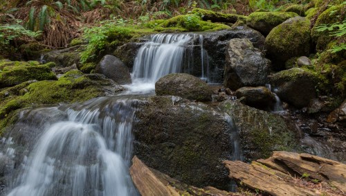 A serene waterfall cascading over moss-covered rocks in a lush, green forest.