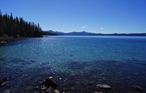 A serene lake surrounded by evergreen trees, with sparkling blue water and distant mountains under a clear sky.