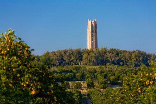 A tall tower stands on a hill, surrounded by lush green trees and orange groves under a clear blue sky.