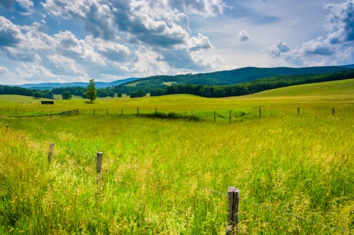 A lush green field under a partly cloudy sky, with distant hills and a wooden fence in the foreground.