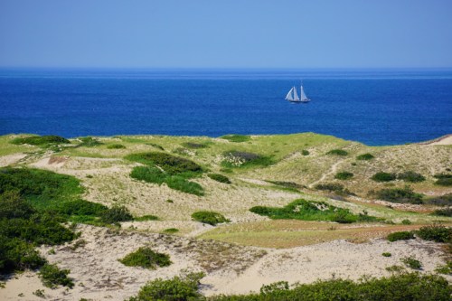 A sailboat glides across a calm blue sea, with sandy dunes and green vegetation in the foreground.