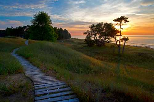 A wooden path winds through grassy dunes, leading to a serene beach at sunset with trees silhouetted against the sky.