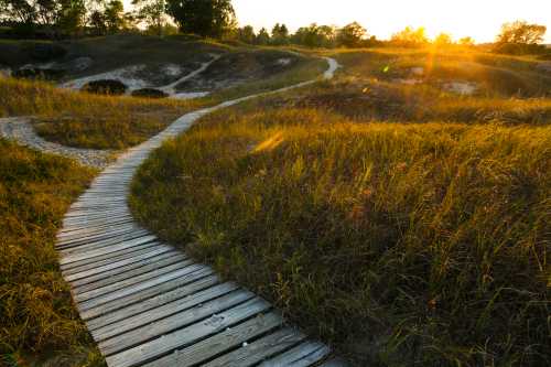 A winding wooden path through tall grass, leading towards a sunset in a serene landscape.