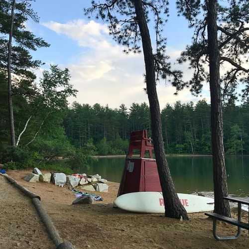 A serene lakeside scene with a lifeguard chair, a surfboard, and trees under a partly cloudy sky.