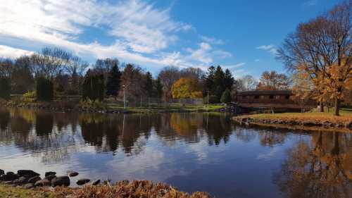 A serene pond reflecting trees and a blue sky, with a wooden building in the background and autumn foliage.