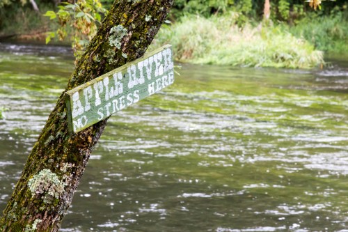 A weathered sign on a tree by a river reads "A Little River - No Stress Here," surrounded by lush greenery.