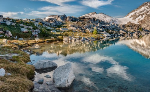 A serene mountain landscape with a clear lake reflecting the sky, surrounded by rocks and grazing animals.