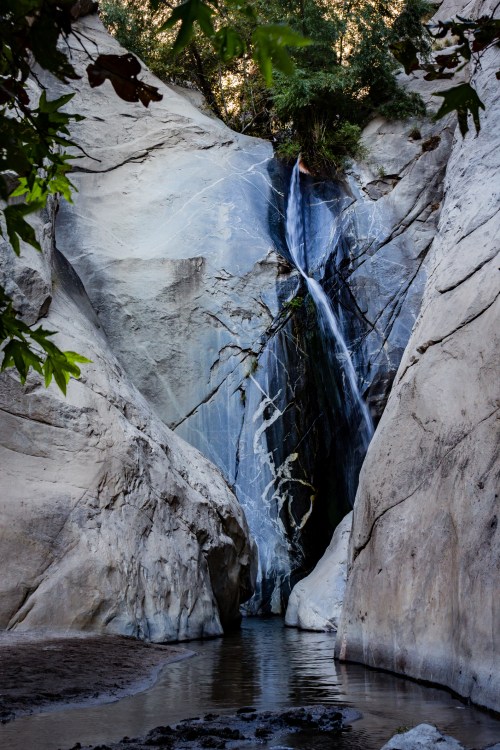 A serene waterfall cascades down smooth, rocky cliffs into a calm pool, surrounded by lush greenery.