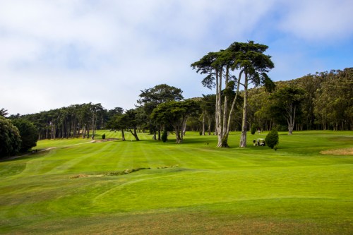 A lush green golf course with tall trees and a cloudy sky in the background.
