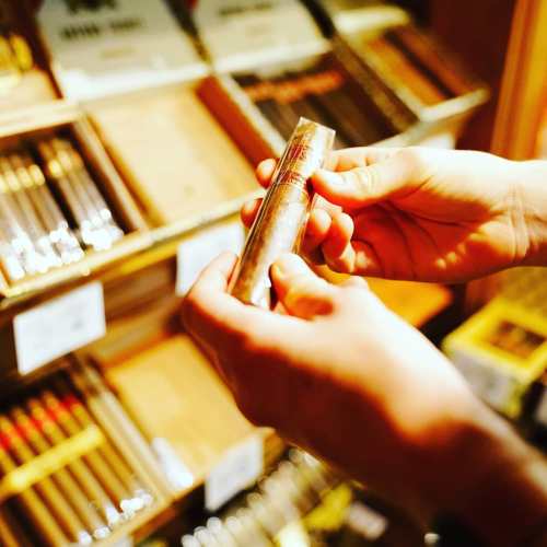 A person holds a cigar in front of a display of various cigars in a shop.