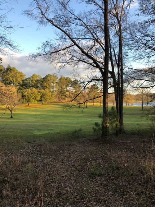 A serene landscape featuring trees and a grassy field under a blue sky with scattered clouds.