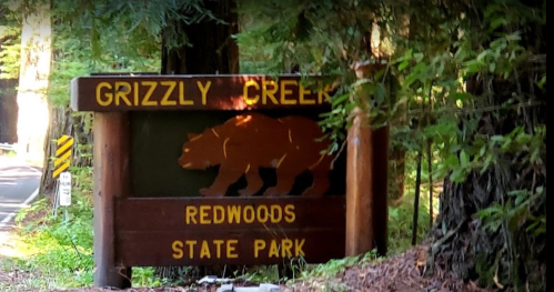 Sign for Grizzly Creek Redwoods State Park, featuring a bear silhouette, surrounded by tall trees.