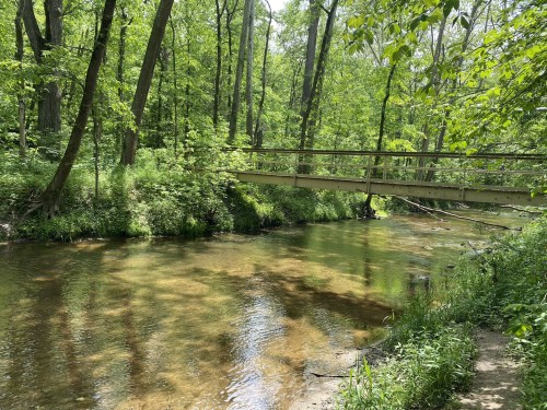 A serene forest scene featuring a clear stream and a wooden bridge surrounded by lush green trees.