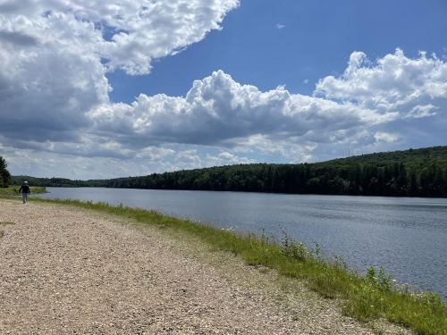 A serene lakeside scene with a gravel path, lush green trees, and fluffy clouds in a blue sky.