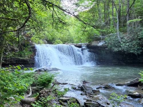 A serene waterfall cascades into a clear pool, surrounded by lush green trees and rocky terrain.