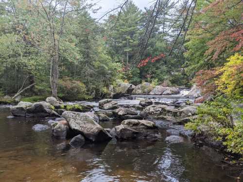 A serene river scene with smooth rocks, gentle rapids, and trees displaying autumn colors.