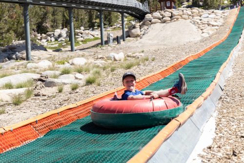 A child in a tube slides down a green and orange slope, surrounded by rocks and grass on a sunny day.