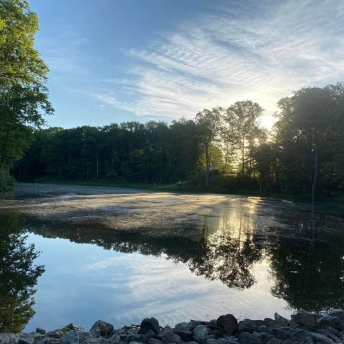 A serene lake reflecting trees and a cloudy sky, with sunlight peeking through the foliage at dawn.