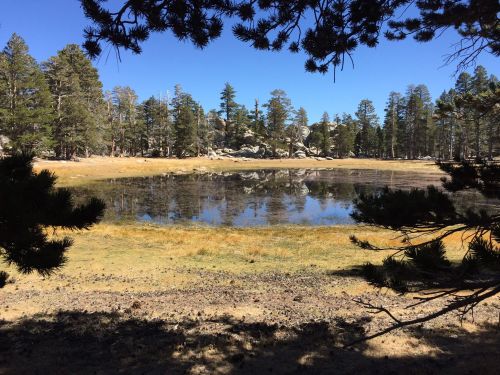 A serene pond surrounded by trees and rocky terrain under a clear blue sky.