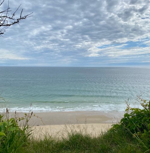 A serene beach view with gentle waves, grassy foreground, and a cloudy sky above.