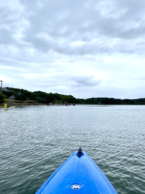 A view from a blue kayak on calm water, with cloudy skies and green trees in the background.