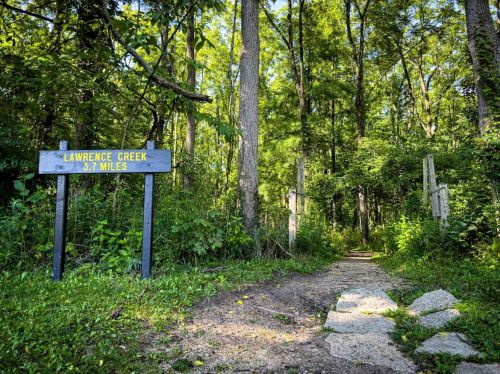 Sign for Lawrence Creek Trail, 3.7 miles, leading into a lush green forest path surrounded by trees.