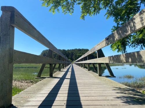A wooden bridge extends over a calm waterway, surrounded by greenery under a clear blue sky.