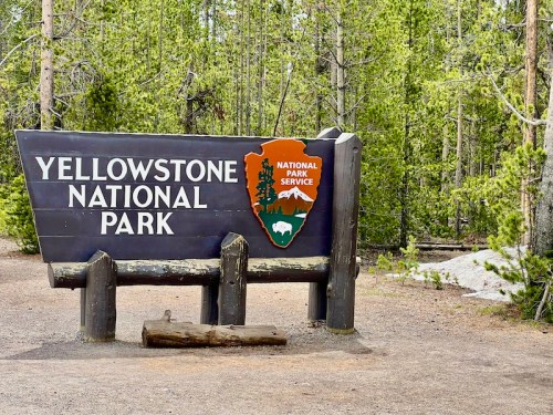 Sign for Yellowstone National Park, featuring the park's logo and surrounded by trees.