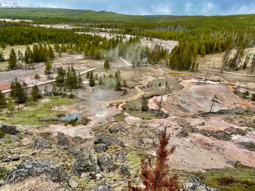 A panoramic view of a geothermal area with steam vents, colorful mineral deposits, and surrounding pine forests.
