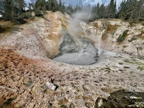 A geothermal feature with steam rising from a gray, bubbling mud pool surrounded by rocky terrain and trees.