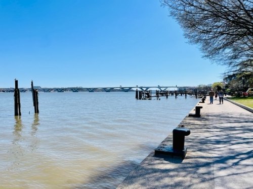 A serene waterfront scene with a clear blue sky, walking path, and a bridge in the distance over calm water.