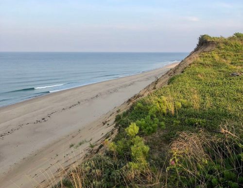 A serene beach scene with gentle waves, sandy shore, and lush greenery on a cliff under a clear blue sky.