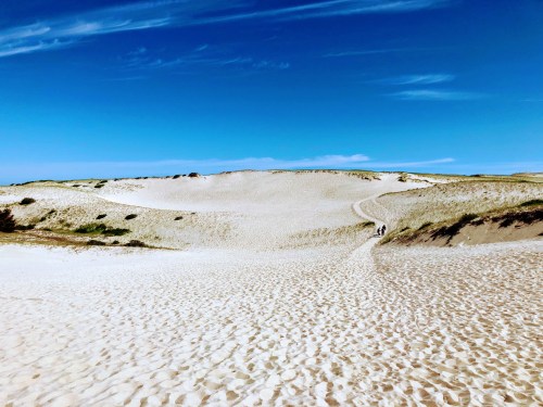 A vast sandy landscape with gentle dunes under a clear blue sky, featuring a winding path and two small figures in the distance.