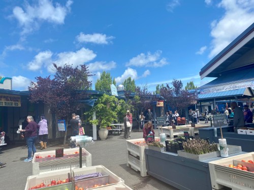 A bustling outdoor market with people shopping, colorful produce stands, and blue skies with scattered clouds.