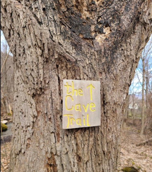 A wooden sign on a tree trunk reads "the Cave Trail" with an arrow pointing upward.