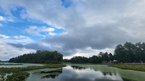 A serene lake scene with green lily pads, surrounded by trees under a partly cloudy sky.