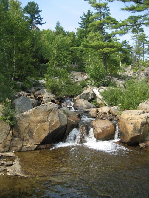 A serene stream flows over rocks, surrounded by lush green trees and a clear blue sky.